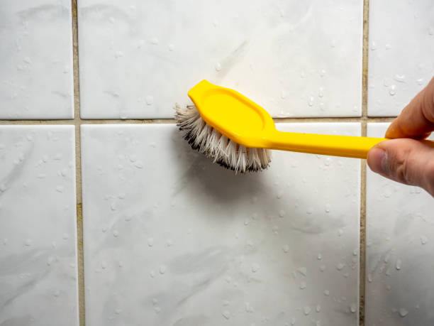 Best Fast Mold Removal  in West Odessa, TX