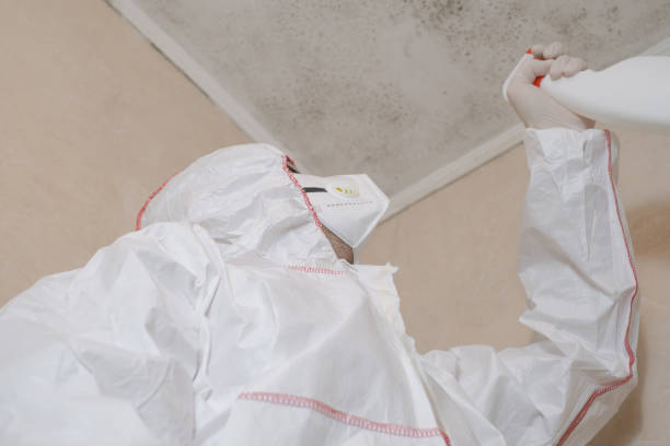 Best Home Mold Removal  in West Odessa, TX