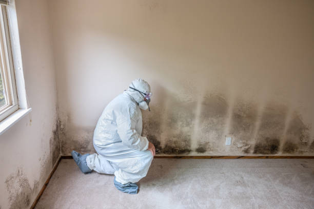 Best Mold Cleaning Services  in West Odessa, TX