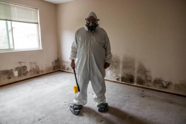 Best Mold Removal and Inspection  in West Odessa, TX